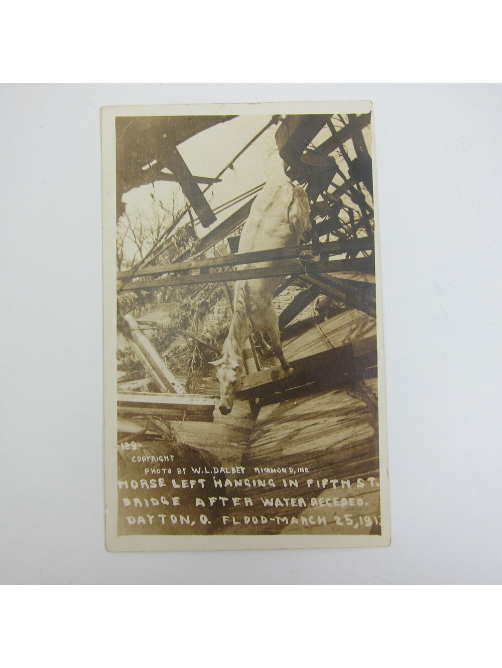 Real Photo Postcard 1913 Dayton Ohio Flood Horse Hang 5th Street Bridge Antique